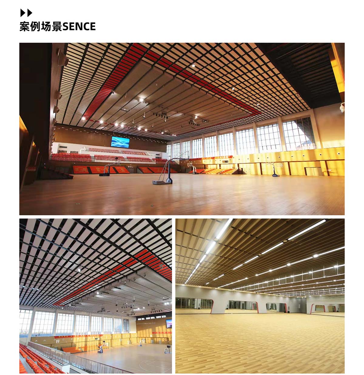 億派文體場(chǎng)館隔音案例